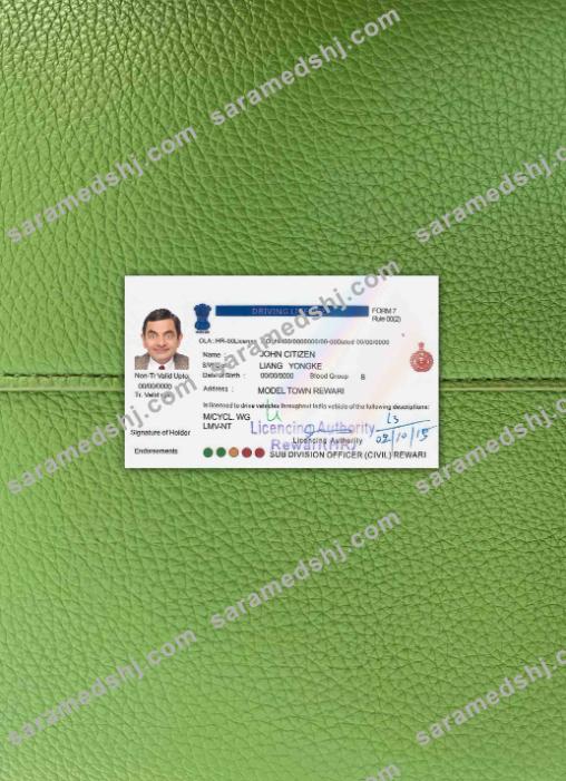 India driving license version 5  photolook FRONT